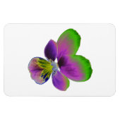 Lila und grünes Premium-Magnet Magnet (Horizontal)