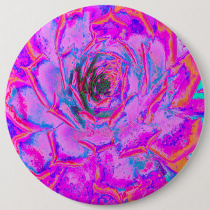 Lila und Magenta Succulent Sedum Rosette Button