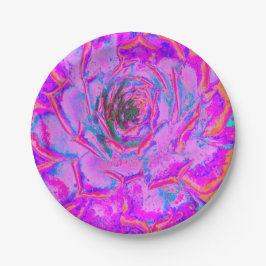 Lila und Magenta Succulent Sedum Rosette Pappteller