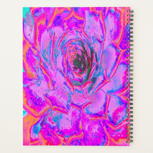 Lila und Magenta Succulent Sedum Rosette Planer (Rückseite)