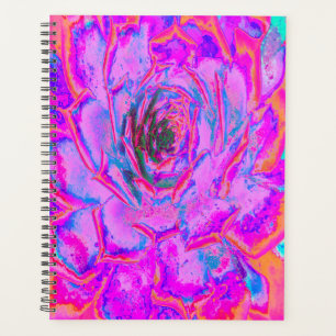 Lila und Magenta Succulent Sedum Rosette Planer
