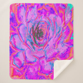 Lila und Magenta Succulent Sedum Rosette Sherpadecke