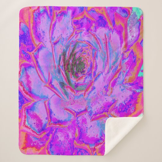 Lila und Magenta Succulent Sedum Rosette Sherpadecke (Vorderseite)