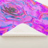 Lila und Magenta Succulent Sedum Rosette Sherpadecke (3/4)