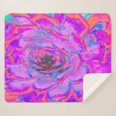 Lila und Magenta Succulent Sedum Rosette Sherpadecke (Vorderseite (Horizontal))