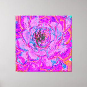 Lila und Magenta Sukkulente Sedumrosette Leinwanddruck