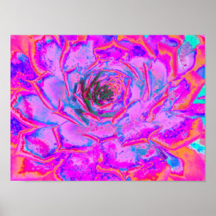 Lila und Magenta Sukkulente Sedumrosette Poster