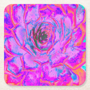 Lila und Magenta Sukkulente Sedumrosette Rechteckiger Pappuntersetzer