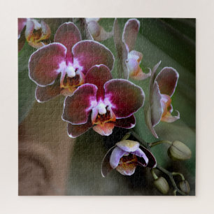 Lila und maroon-orchid-Blüten Puzzle