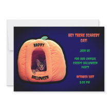 Lila und Orange Pumpkin sprichwörtliches Kätzchen