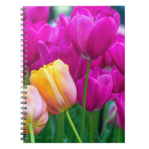 Lila und orange Tulpenotizbuch Notizblock