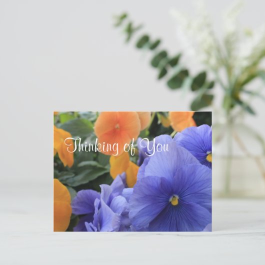 Lila und orangefarbene Stiefmütterchen mit grünem Postkarte (Stehend Vorderseite)