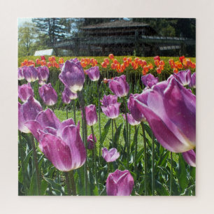 Lila und orangefarbene Tulips Puzzle