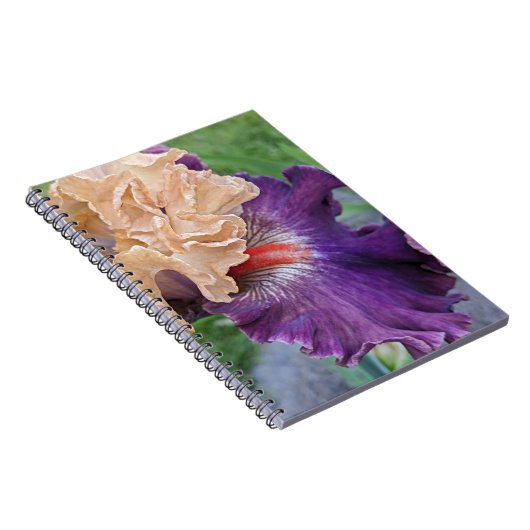 Lila und pfirsichfarbene Iris Bloral Notizblock (Rechte Seite)