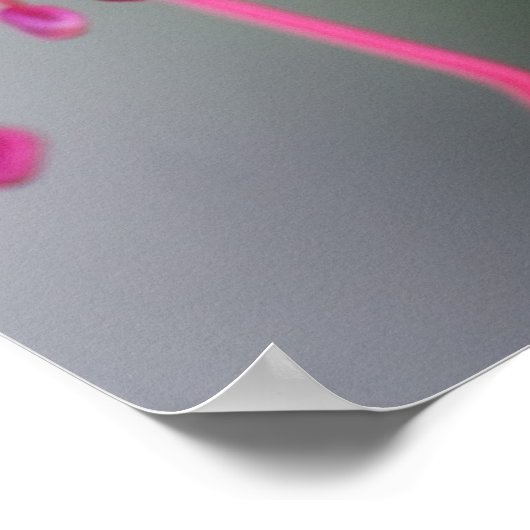 Lila und Red Fuchsia-Blume Poster (Ecke)