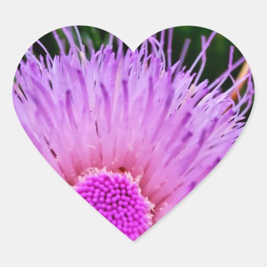 Lila und rosa Blume Herz-Aufkleber (Vorderseite)