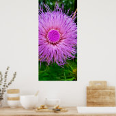 Lila und rosa Blume Poster (Küche)