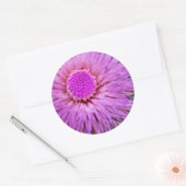 Lila und rosa Blume Runder Aufkleber (Umschlag)