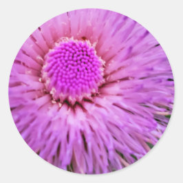 Lila und rosa Blume Runder Aufkleber