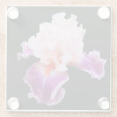Lila und rosa Iris Glasuntersetzer (Rückseite)