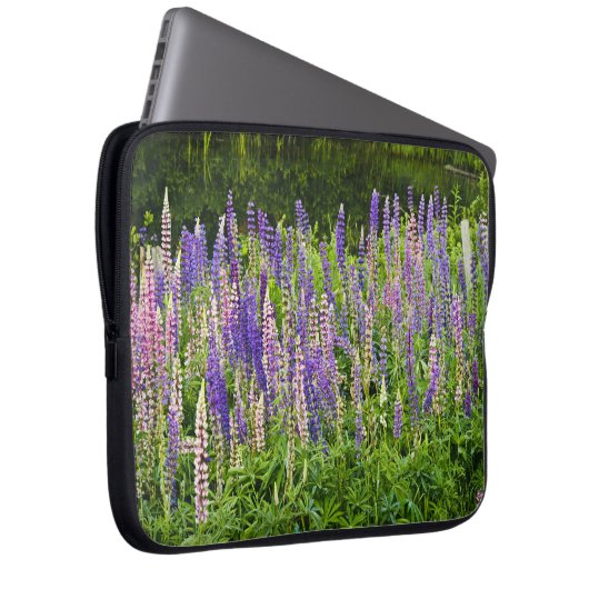 Lila und rosa Lupine-Fotografie Laptopschutzhülle (Vorne Rechts)