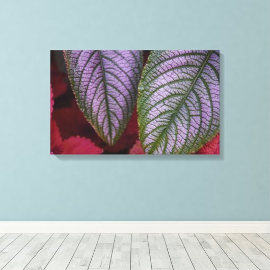 Lila und rote Leinwand (Insitu (Holzboden))