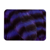 Lila und schwarze Federn Magnet (Horizontal)