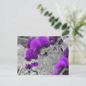 Lila und schwarze Stiefmütterchen Postkarte (Stehend Vorderseite)