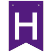 Lila und Türkis-einfacher alles- Gute zum Wimpelkette (Zweite Fahne)