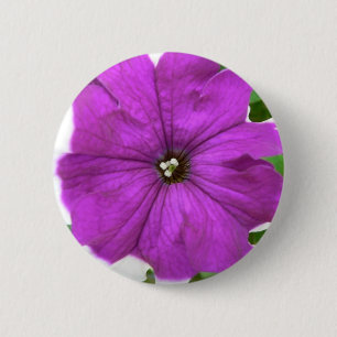 Lila und weiße Blume im Gras Button