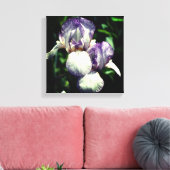 Lila und weiße Blume Iris Leinwanddruck (Insitu (Wohnzimmer))