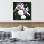Lila und weiße Blume Iris Leinwanddruck (Insitu (Schlafzimmer))