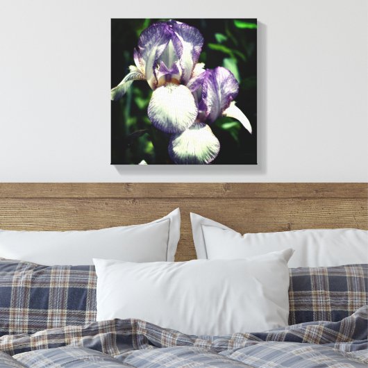 Lila und weiße Blume Iris Leinwanddruck (Insitu (Schlafzimmer))