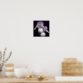 Lila und weiße Blume Iris Poster (Küche)
