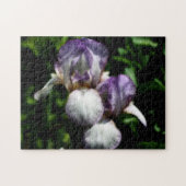 Lila und weiße Blume Iris Puzzle (Horizontal)