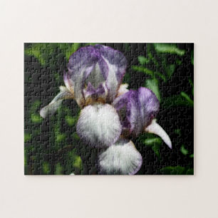 Lila und weiße Blume Iris Puzzle
