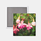 Lila und weiße Blume Magnet (Vorderseite/Rückseite)