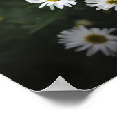 Lila und weiße Blumen Poster (Ecke)