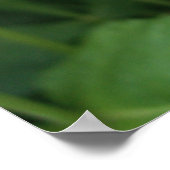 Lila und weiße Dahlia Poster (Ecke)