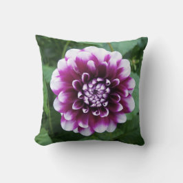 Lila und weiße Dahlie Kissen