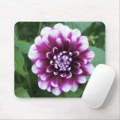 Lila und weiße Dahlie Mousepad (Mit Mouse)