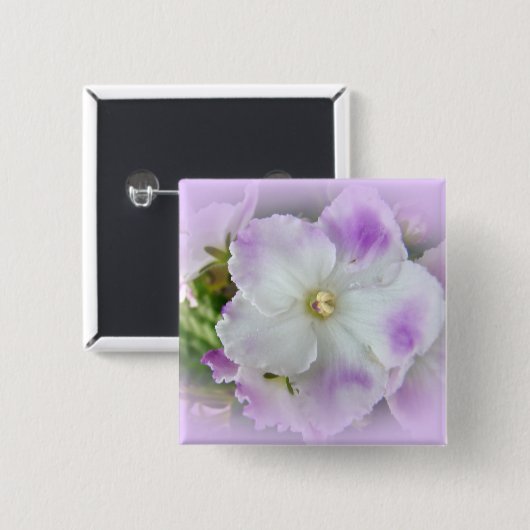 Lila und weiße Extravagante afrikanische Violetten Button (Vorne & Hinten)