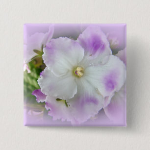 Lila und weiße Extravagante afrikanische Violetten Button