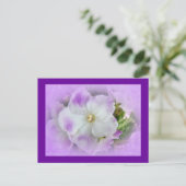 Lila und weiße Extravagante afrikanische Violetten Postkarte (Stehend Vorderseite)