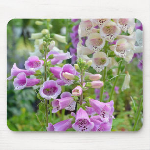 Lila und weiße Fingerhut-Blumen Mousepad