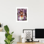 Lila und weiße Iris mit orangefarbenem Bart Poster (Heimbüro)