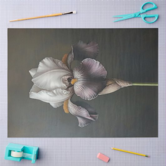 Lila und weiße Irisblende Seidenpapier (Basteln)