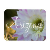 Lila und weiße Kaktus Blume, Arizona Magnet (Horizontal)