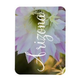 Lila und weiße Kaktus Blume, Arizona Magnet