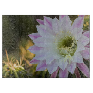 Lila und weiße Kaktusblüte Schneidebrett